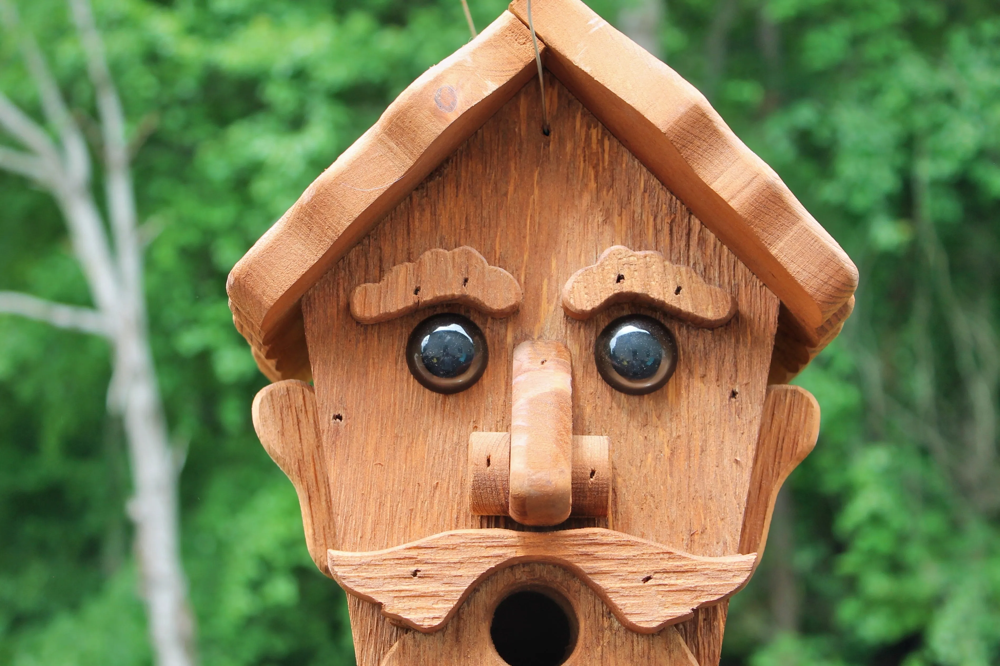 Animal Shaped Birdhouses
