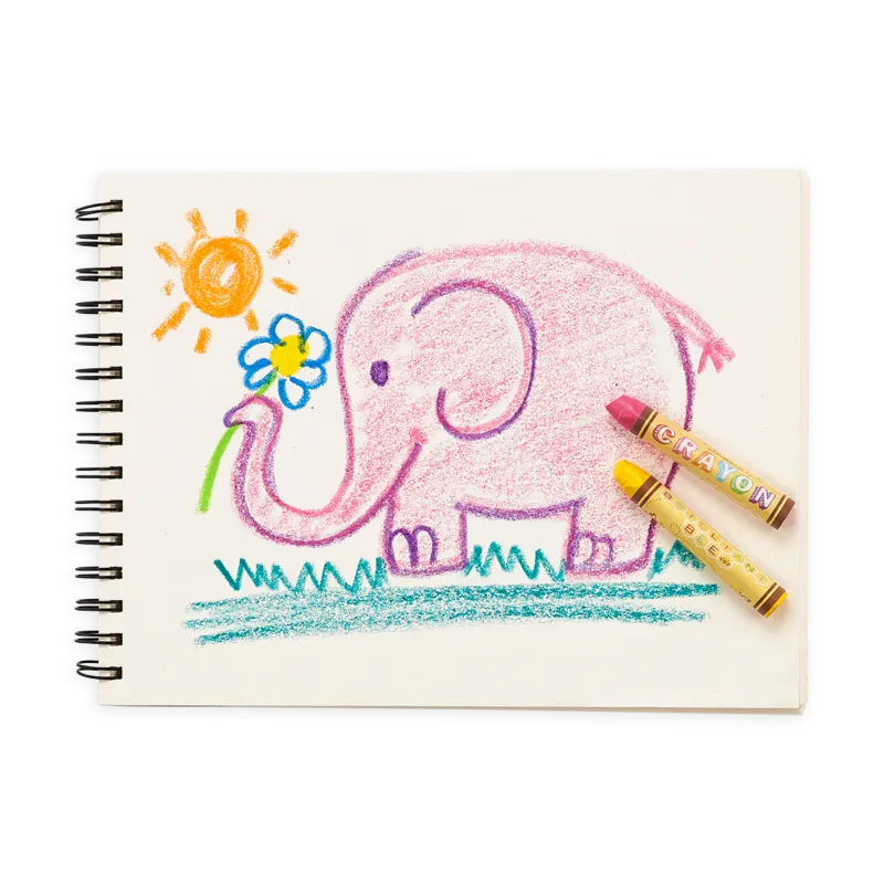 Brilliant Bee Crayons - Set of 24