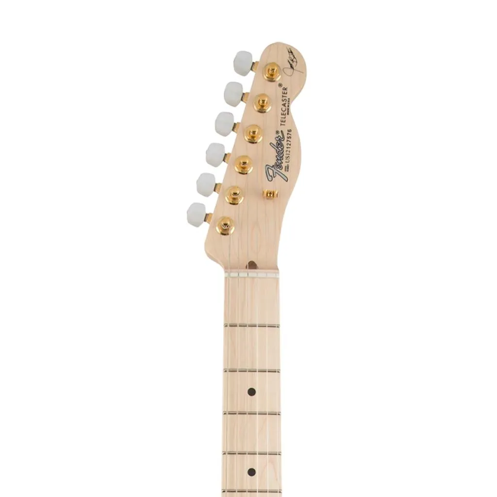 Fender James Burton Telecaster Electric Guitar w/Case, Maple Neck, Red Paisley Flames