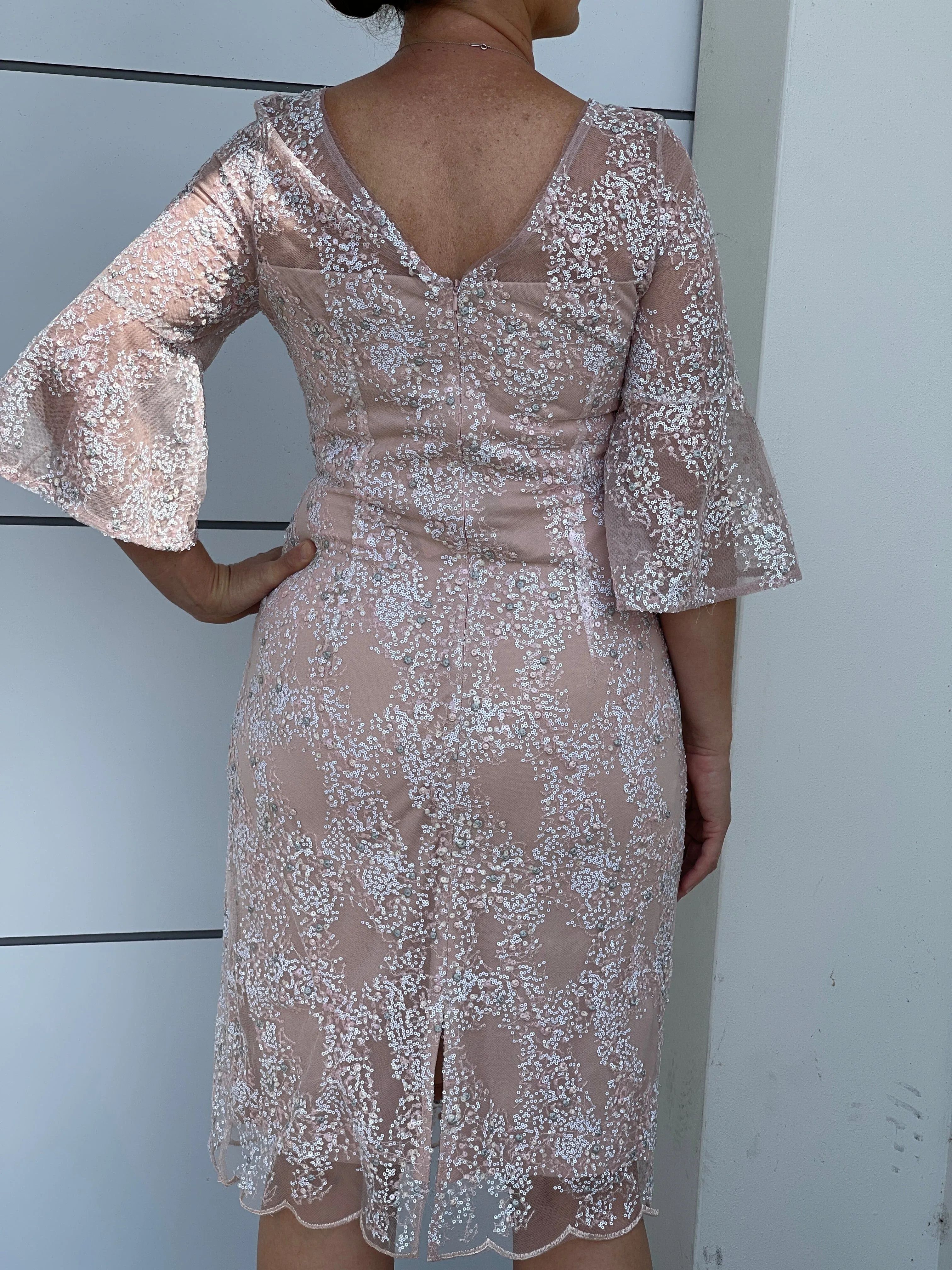 Francis Blush Sequin Dress