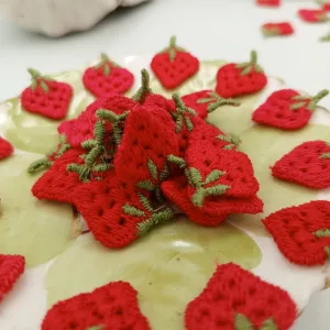 Heart shaped Cute Strawberry Appliques VINTAGE Cute wild berry fruit Sewing Patches Red Strawberry Embroidered Embellishments #361