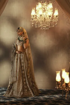 Heavy Pakistani Bridal Golden Lehenga Choli #BN1100