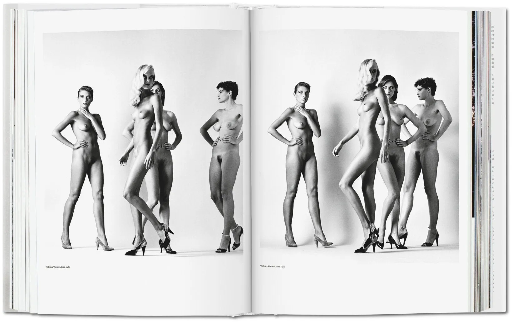 Helmut Newton (Baby SUMO) by TASCHEN
