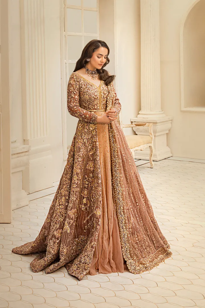 HSY Pakistani Bridal Dress in Open Wedding Gown Style