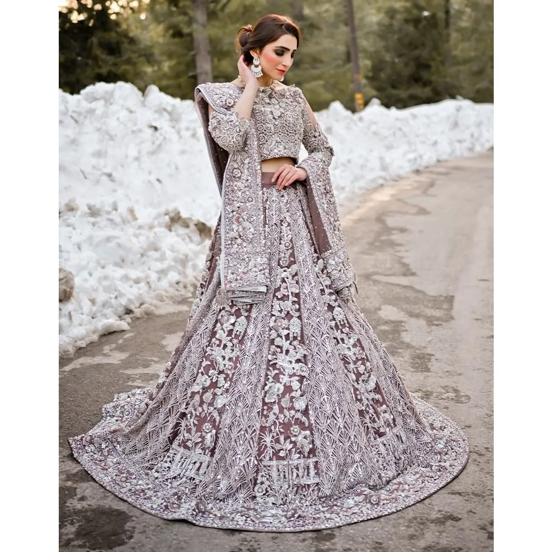 Latest Embellished Lehenga Choli and Dupatta #BS896