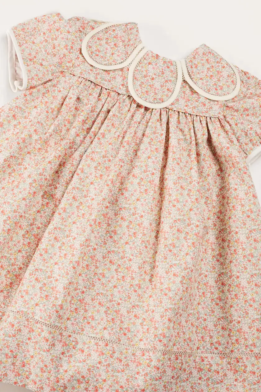 Mabel Floral Statement Collar Short Sleeve Dress in Coral (12mths-10yrs)