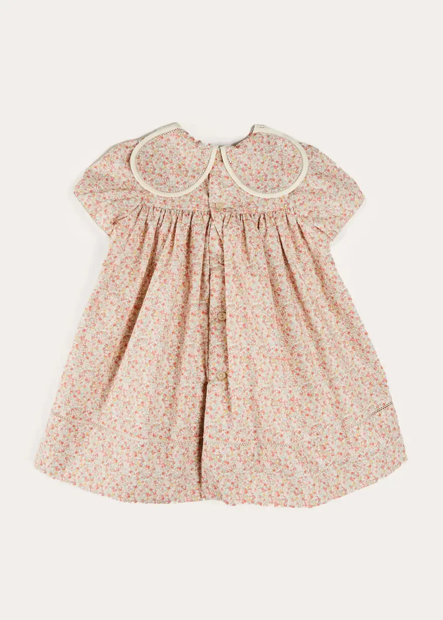 Mabel Floral Statement Collar Short Sleeve Dress in Coral (12mths-10yrs)