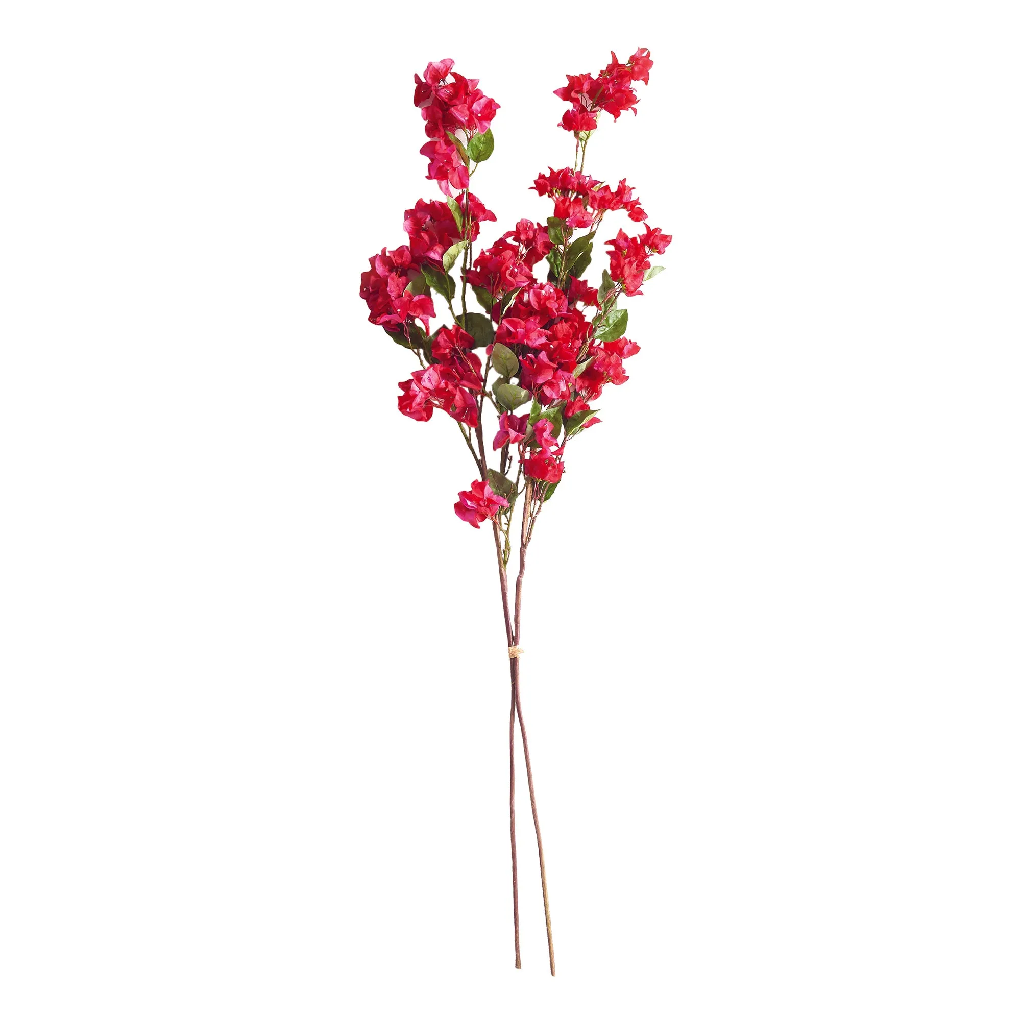 NAPA Home & Garden, BOUGAINVILLEA STEMS 54", BUNDLE OF 2,TP208PK
