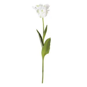 NAPA Home & Garden, PARROT TULIP STEM 22.5",CC327WH
