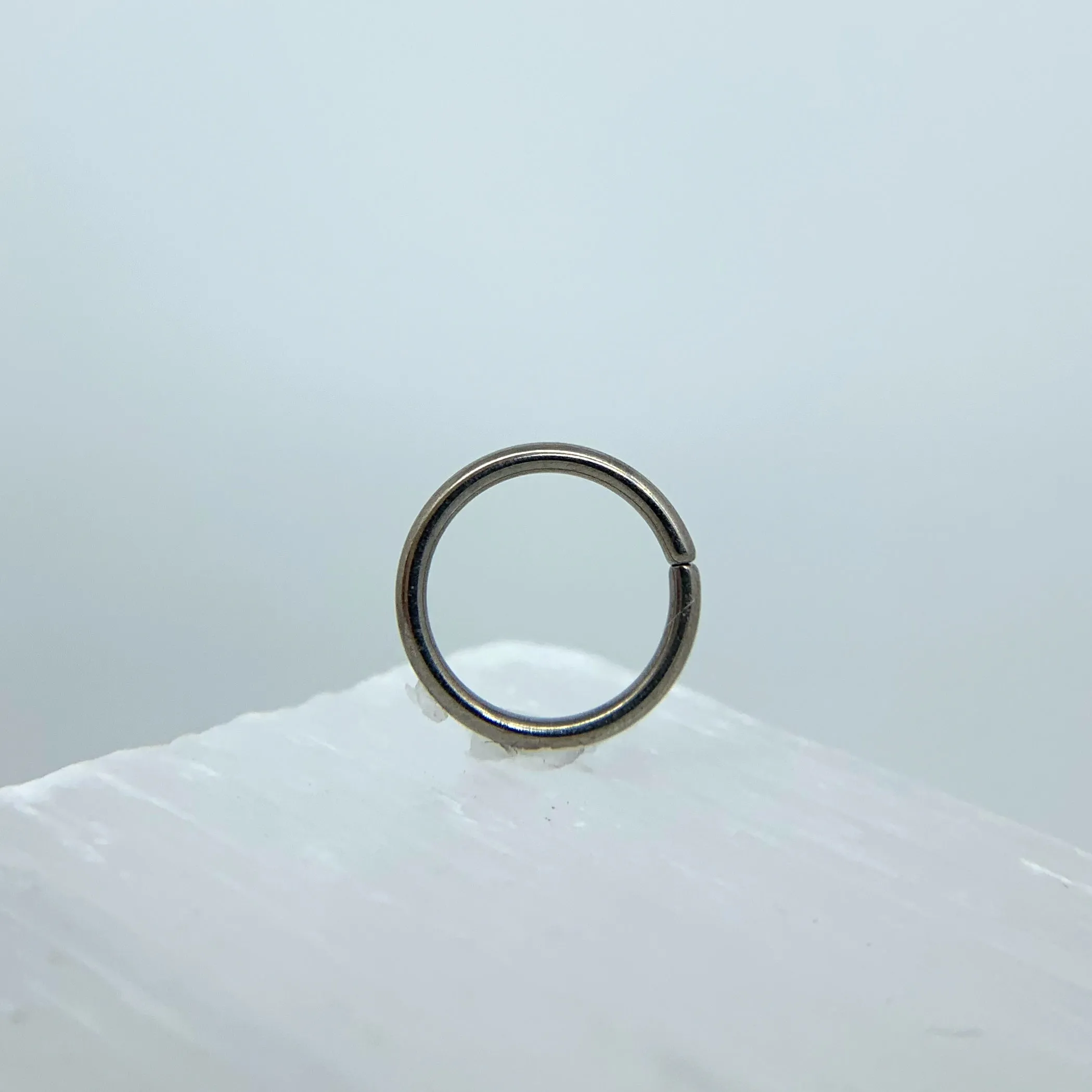 Niobium Simple Seamless Ring