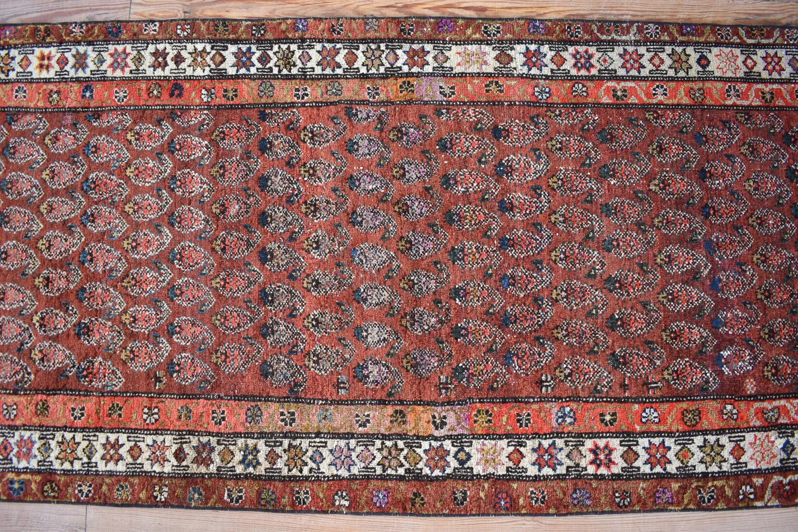 Paisley 3'1 x 9'5