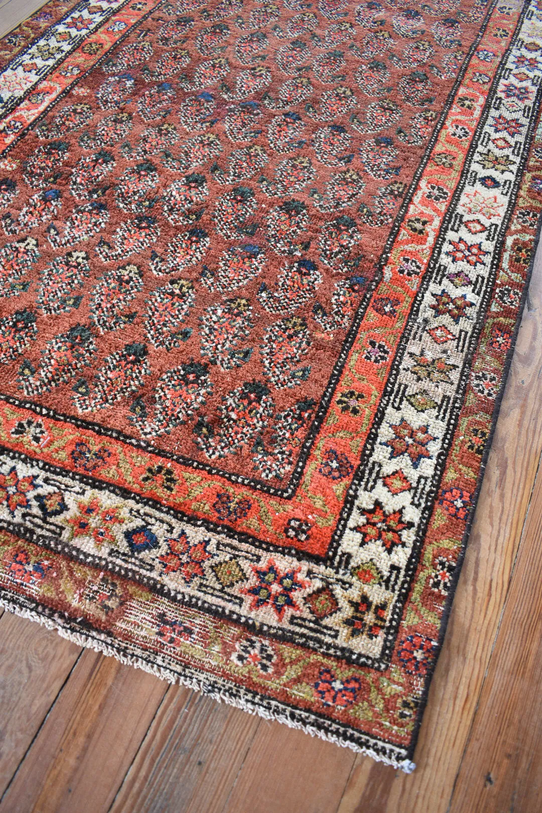 Paisley 3'1 x 9'5
