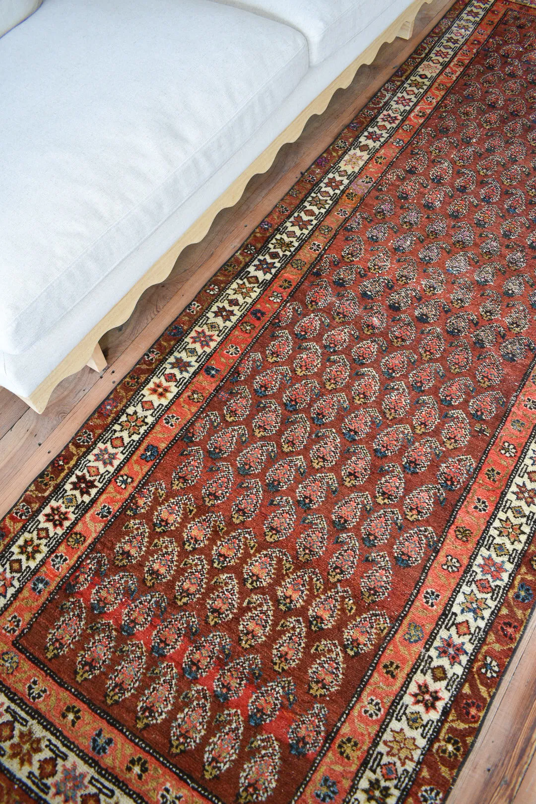 Paisley 3'1 x 9'5