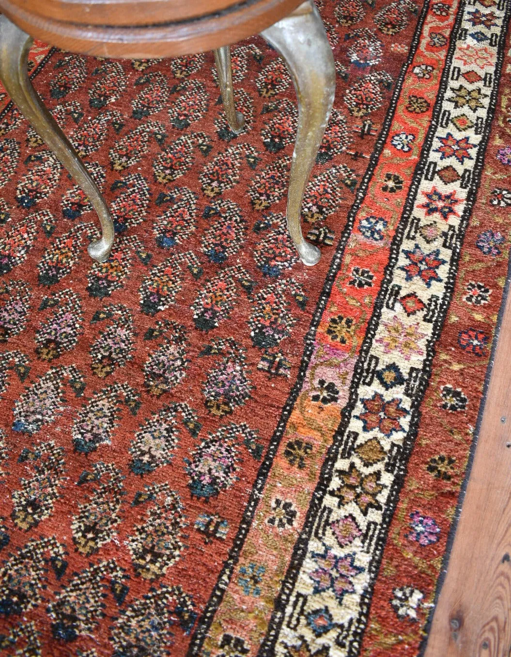 Paisley 3'1 x 9'5