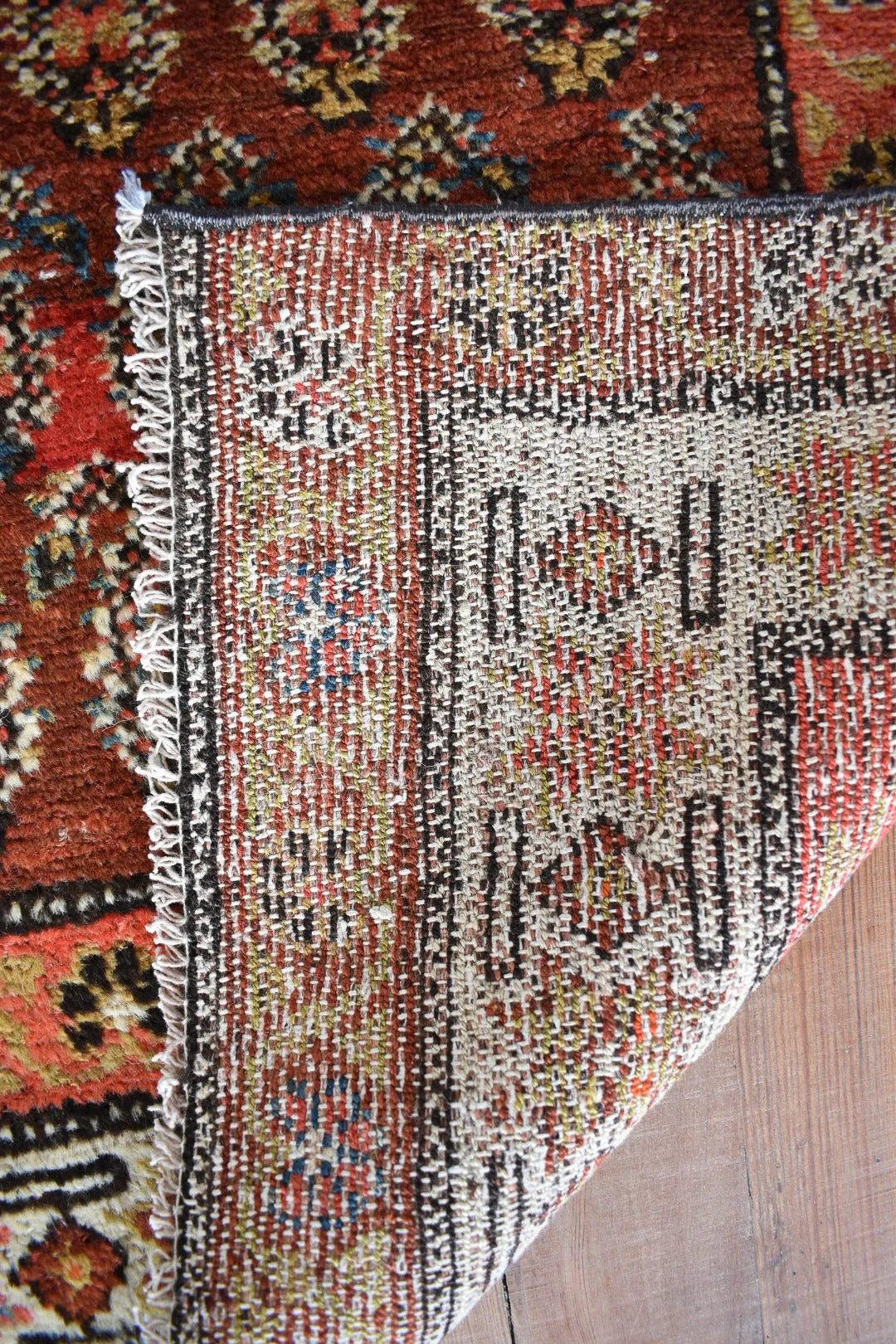 Paisley 3'1 x 9'5