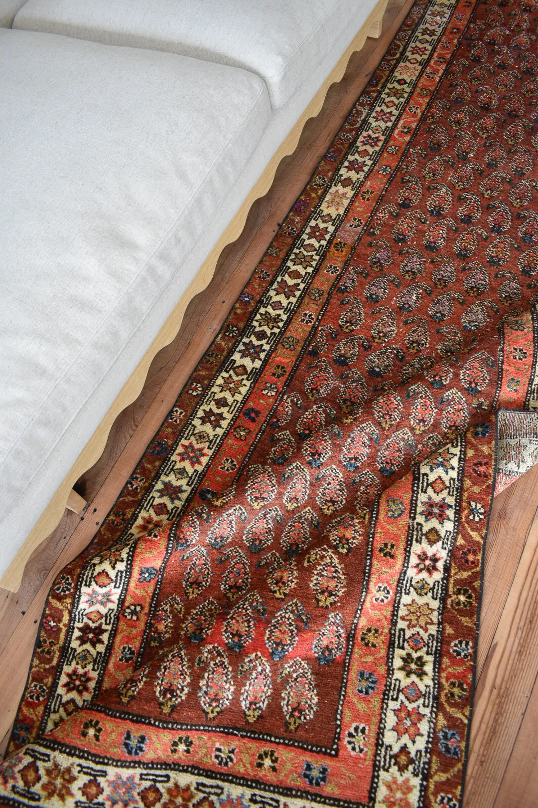 Paisley 3'1 x 9'5
