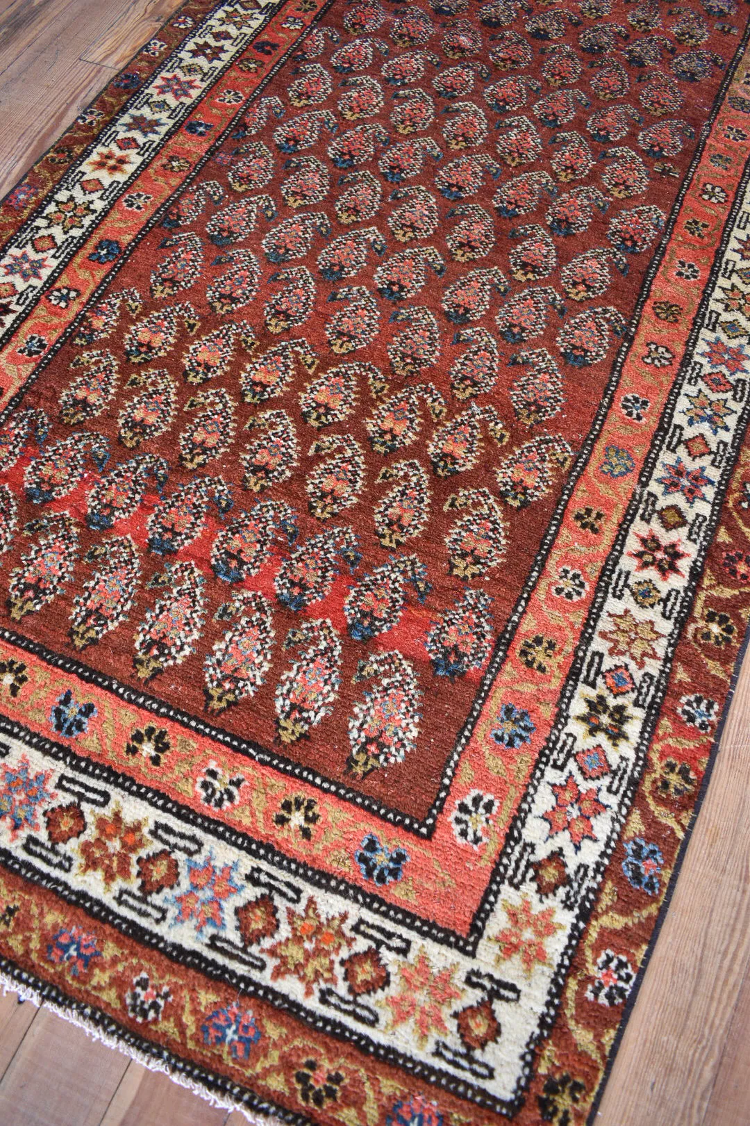Paisley 3'1 x 9'5