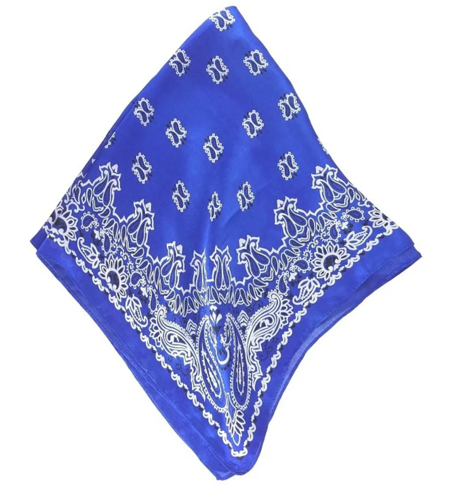 PAISLEY PRINT SCARF