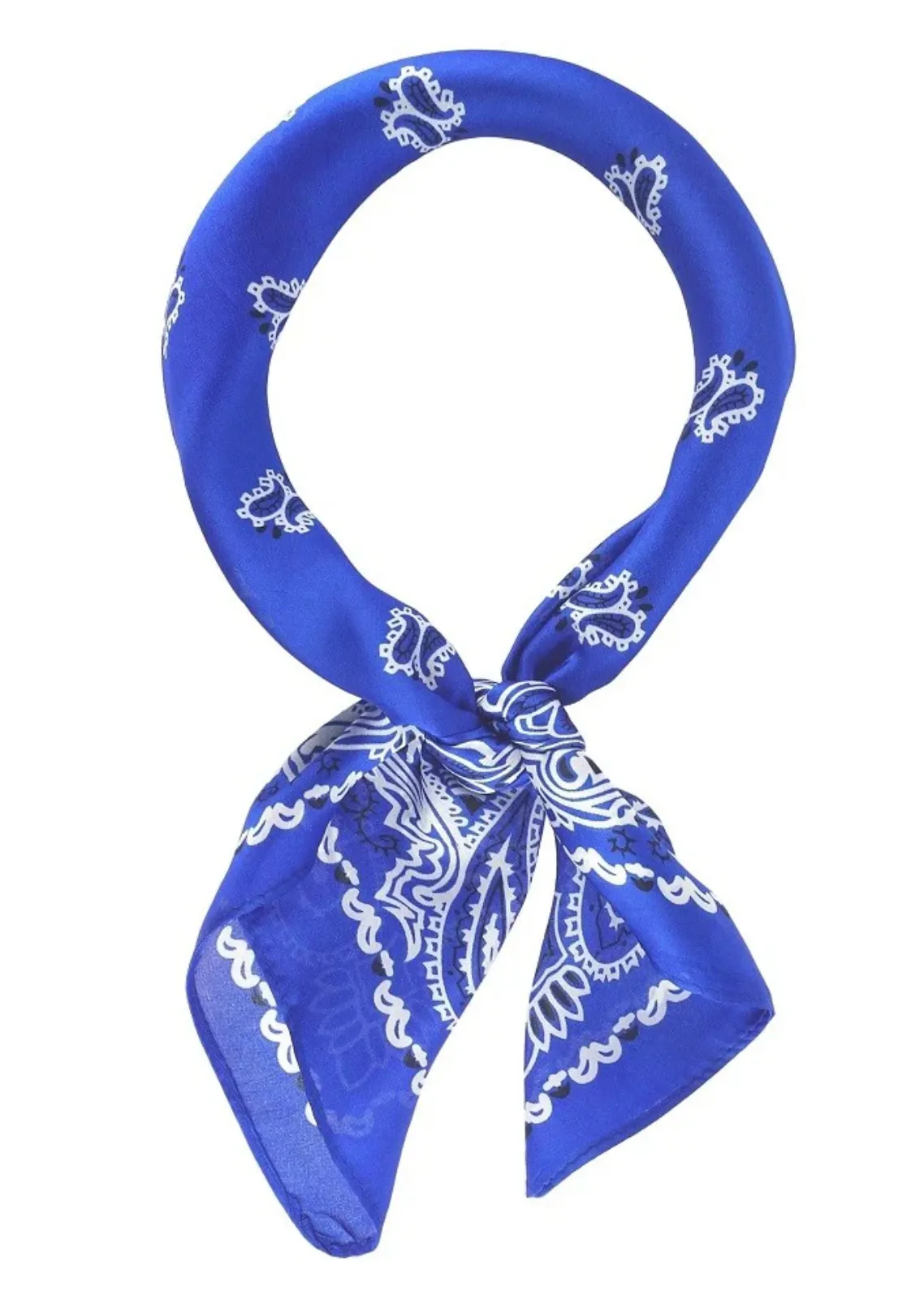 PAISLEY PRINT SCARF