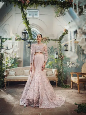 Pakistani Bridal Mermaid Lehenga Choli Dress #BS702