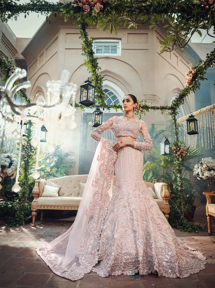 Pakistani Bridal Mermaid Lehenga Choli Dress #BS702
