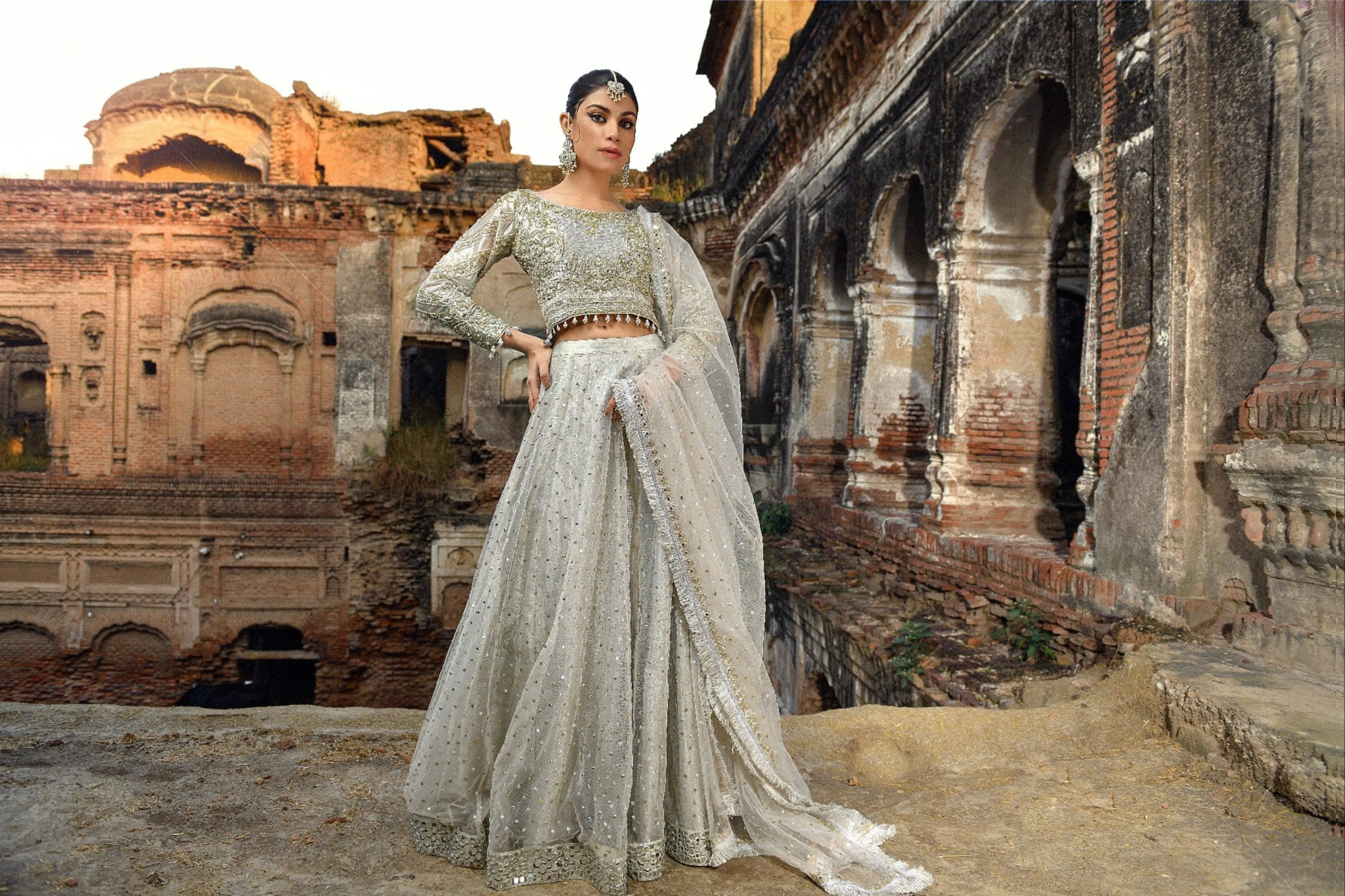 Pakistani Royal Wedding Choli Lehenga Dress #BS721
