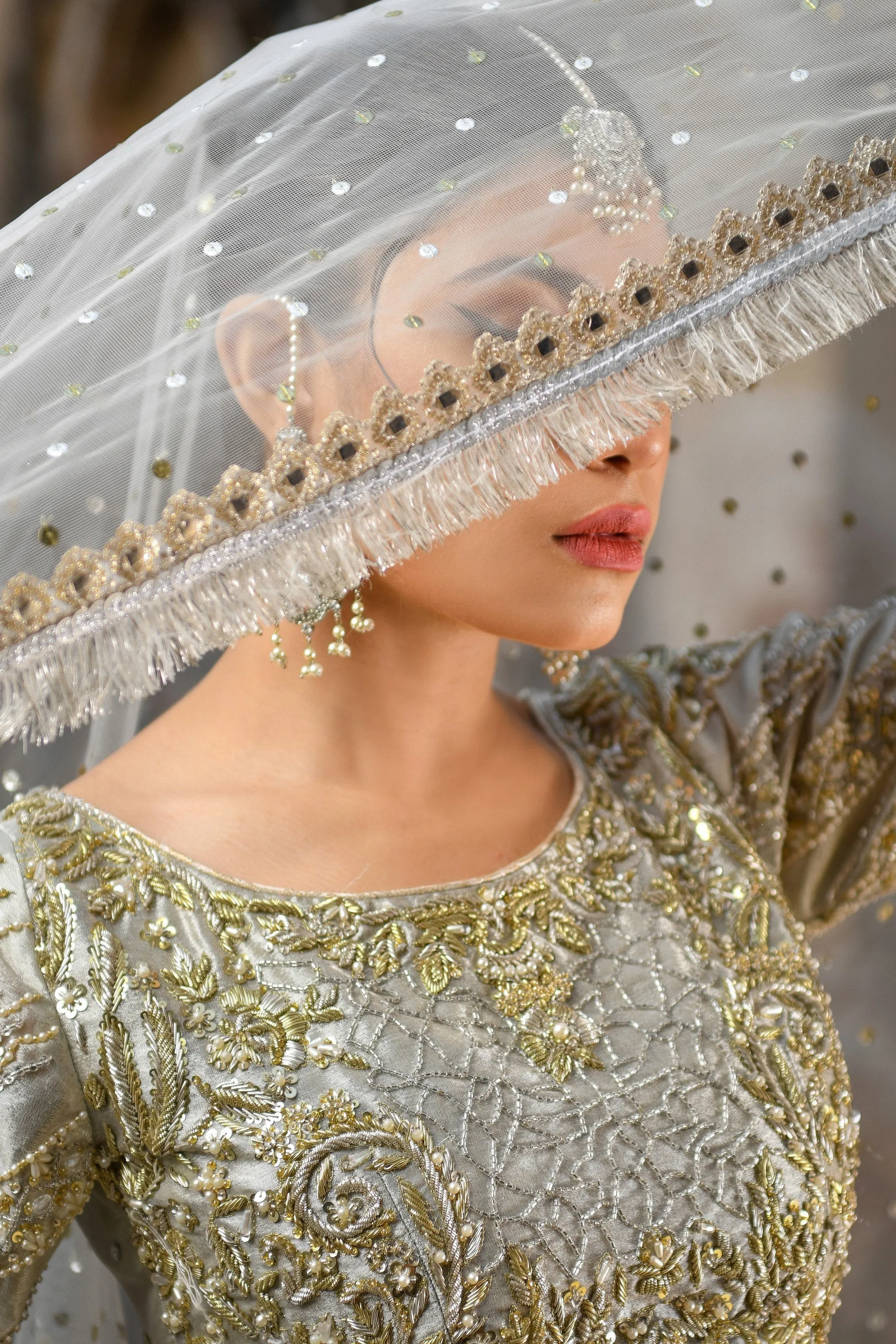 Pakistani Royal Wedding Choli Lehenga Dress #BS721