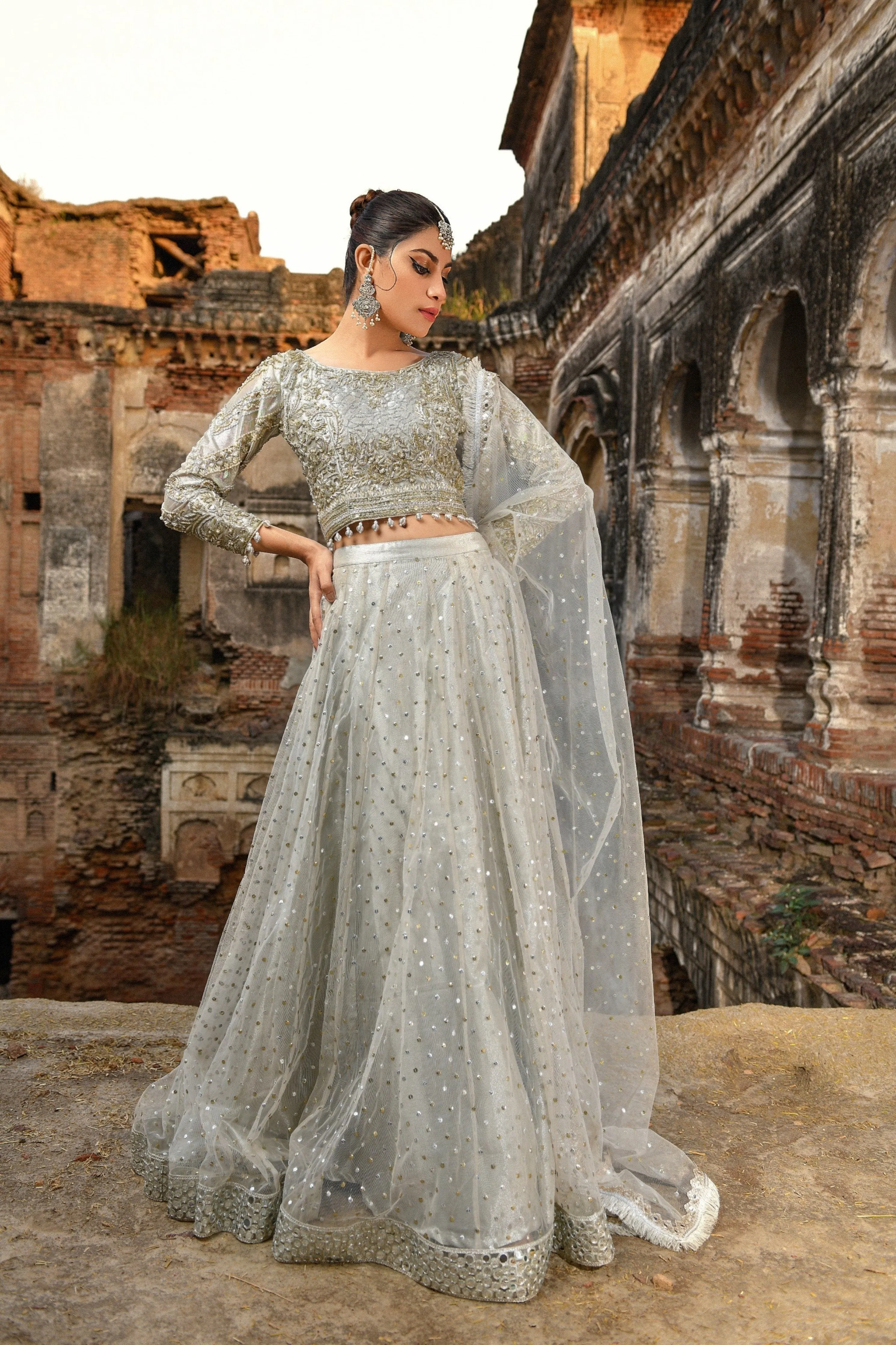 Pakistani Royal Wedding Choli Lehenga Dress #BS721