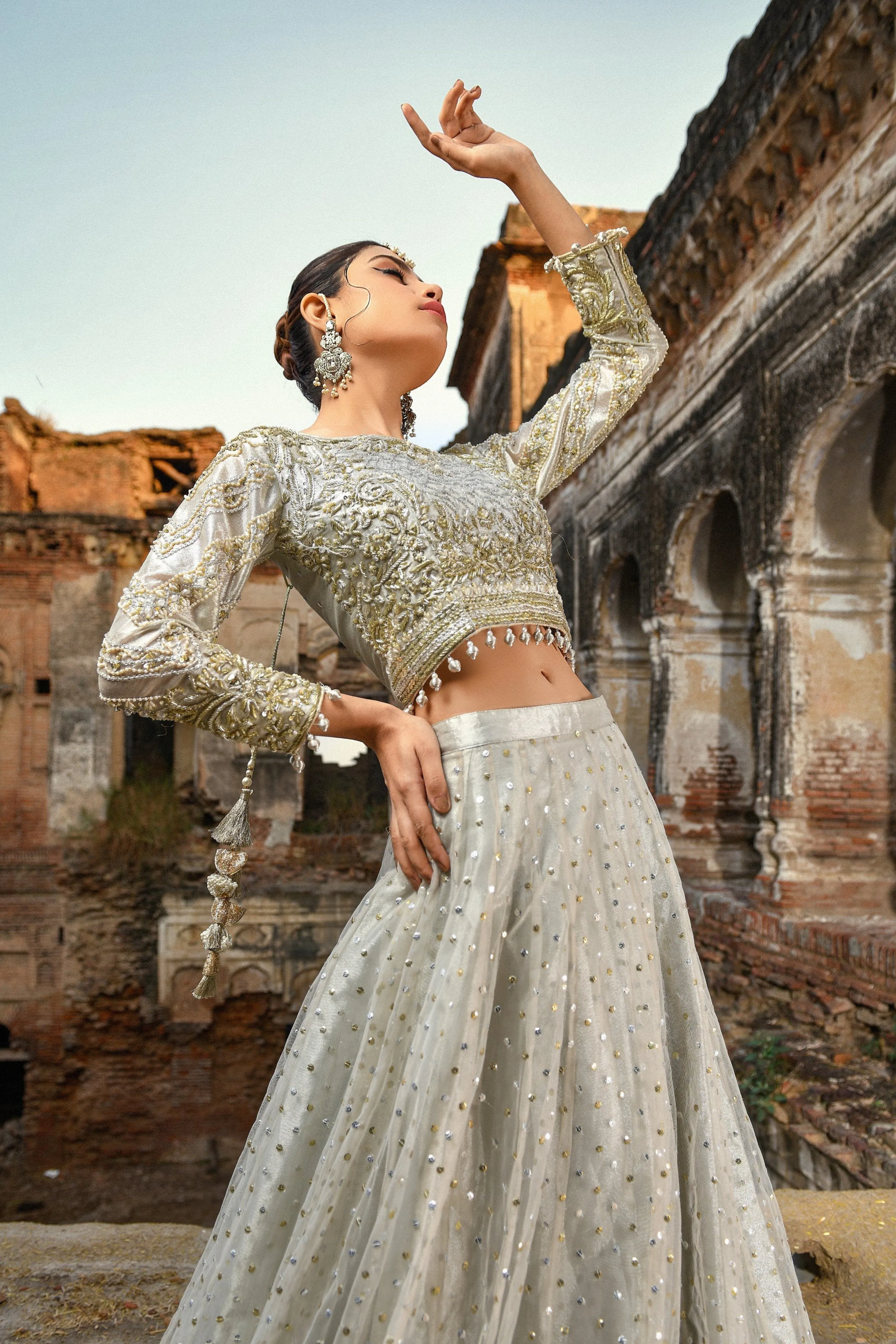 Pakistani Royal Wedding Choli Lehenga Dress #BS721