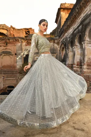 Pakistani Royal Wedding Choli Lehenga Dress #BS721