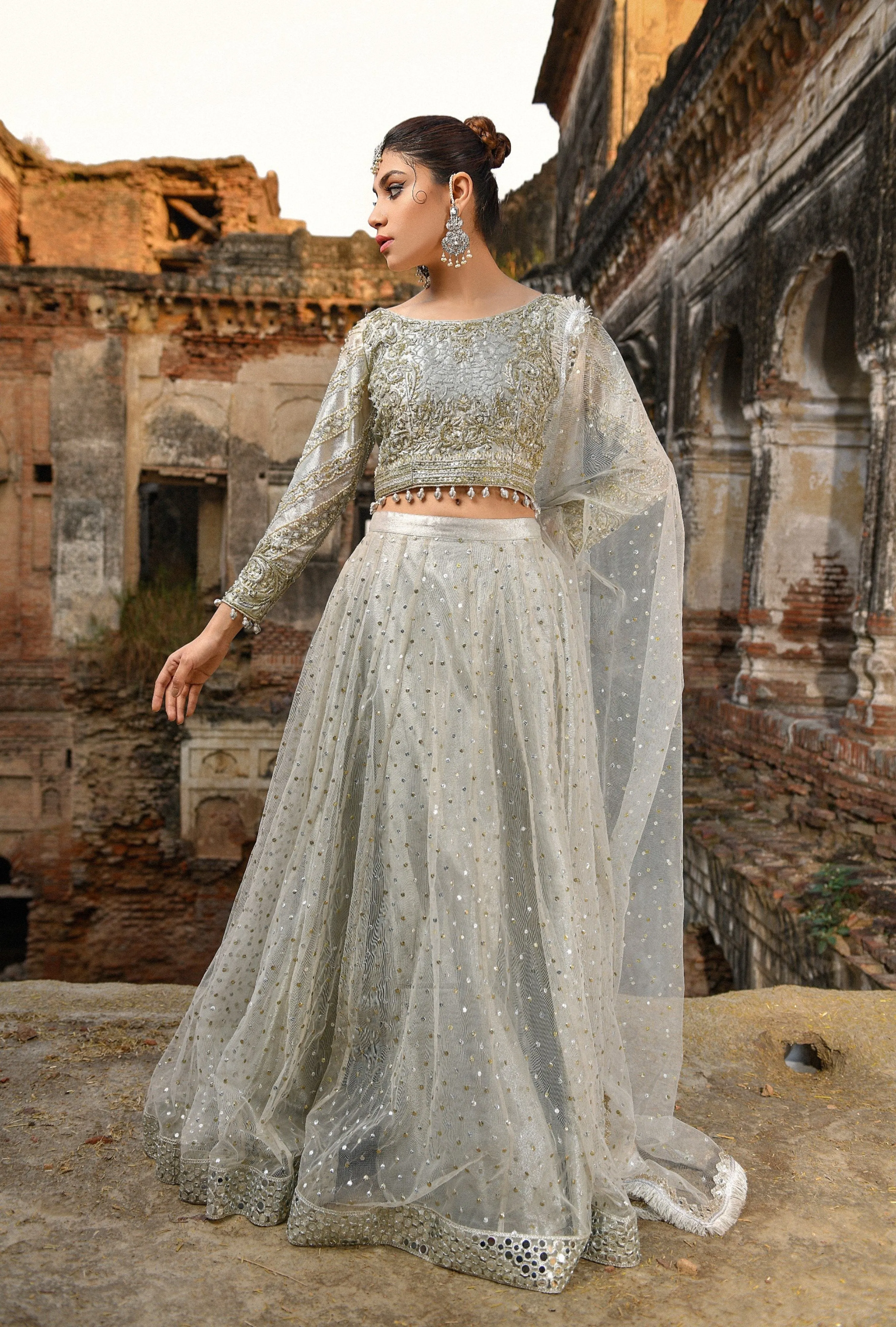 Pakistani Royal Wedding Choli Lehenga Dress #BS721