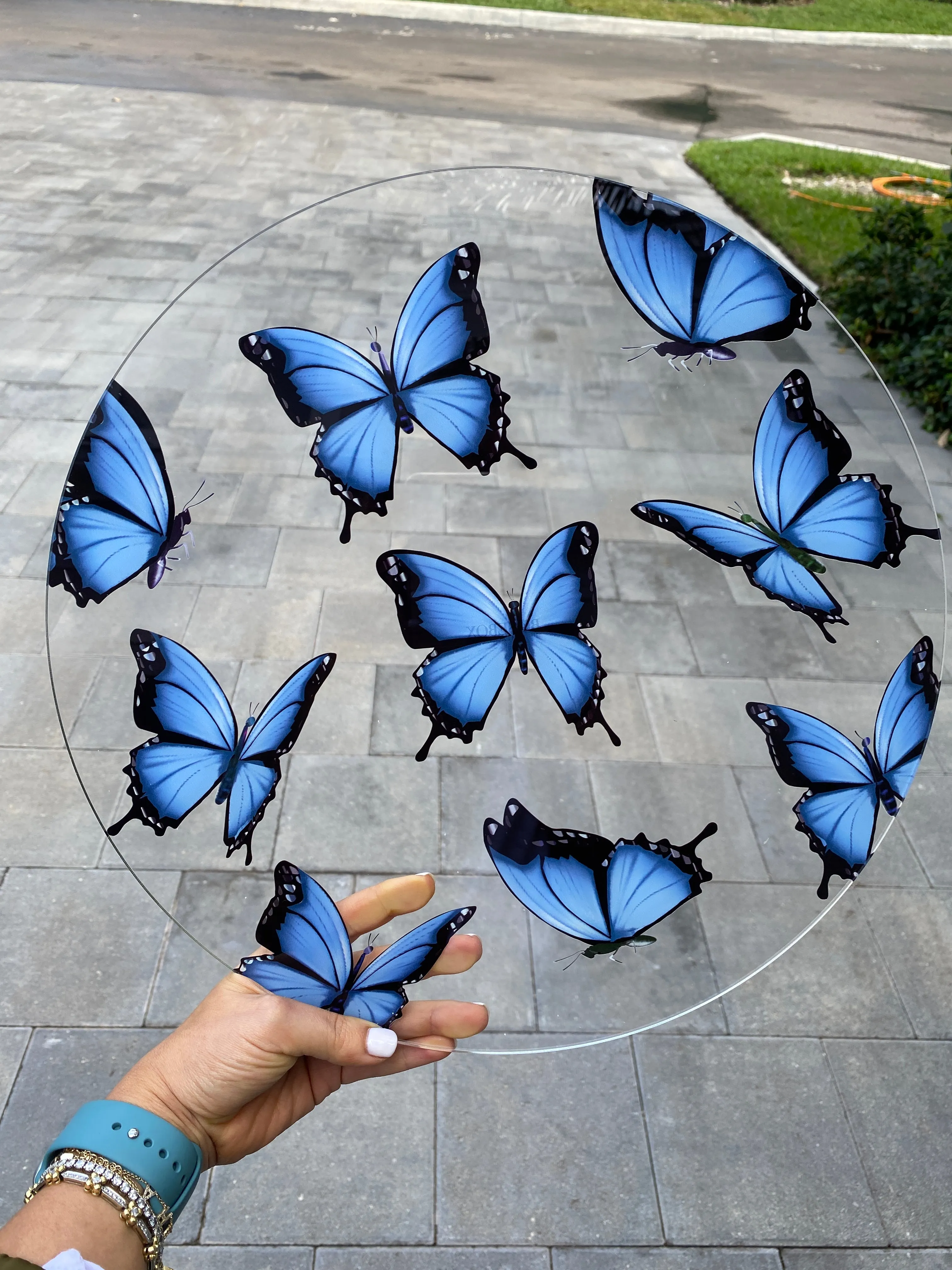 Placemats - Butterfly Effect