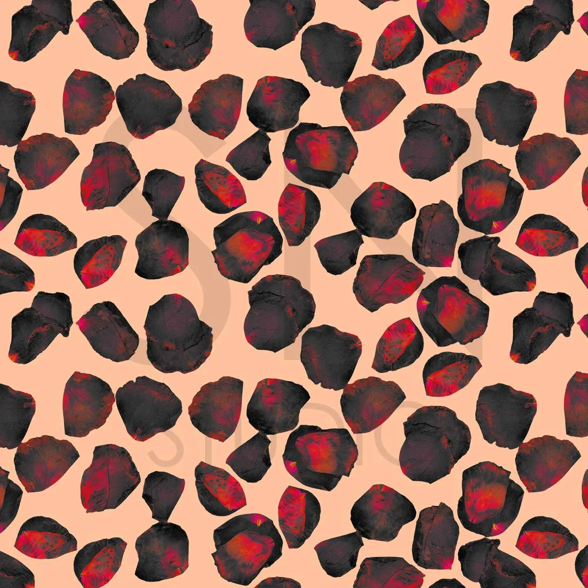 Rose petals
