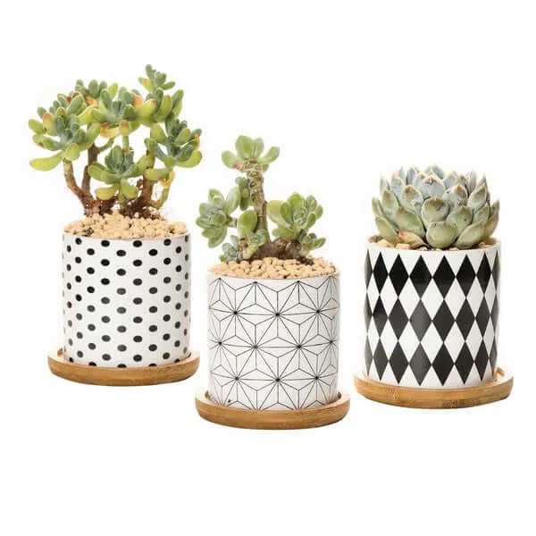 Set of 3 Black and White Geometric Print Planters