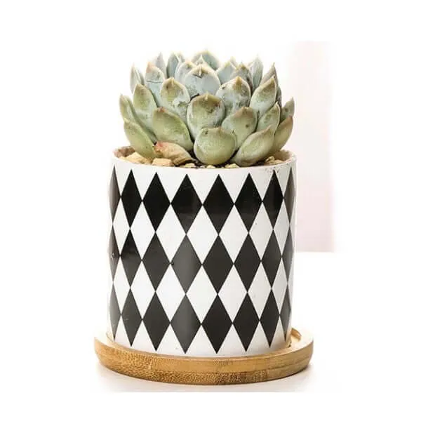 Set of 3 Black and White Geometric Print Planters