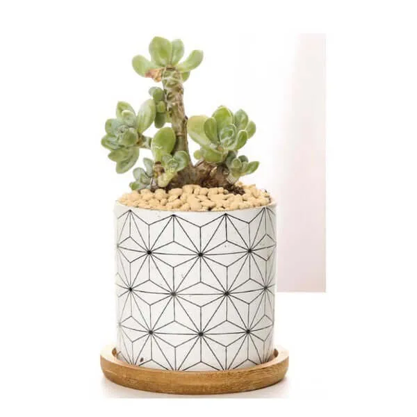 Set of 3 Black and White Geometric Print Planters
