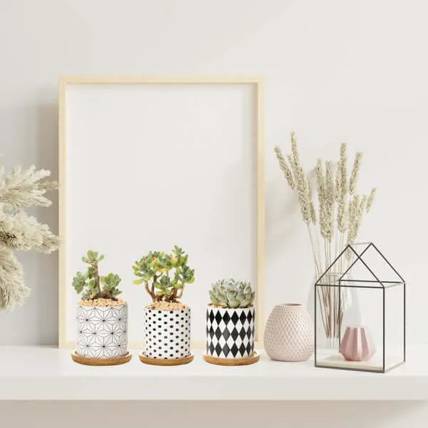 Set of 3 Black and White Geometric Print Planters