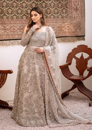Silver Grey Bridal Lehenga Choli Pakistani Dress #BS803