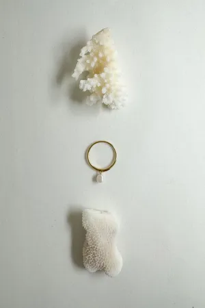 The Shore Ring