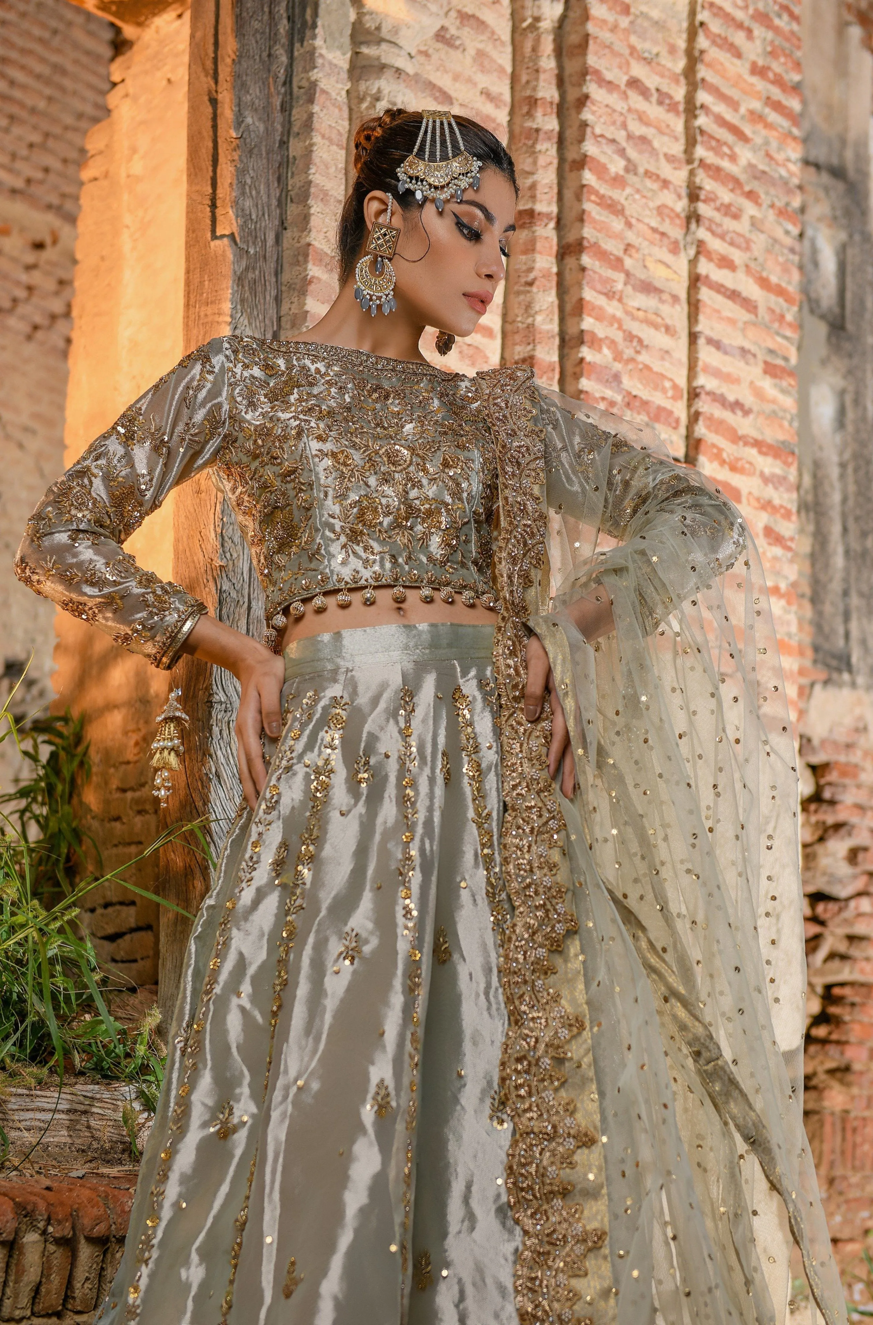 Tissue Lehenga Choli Pakistani Bridal Dress #BS722