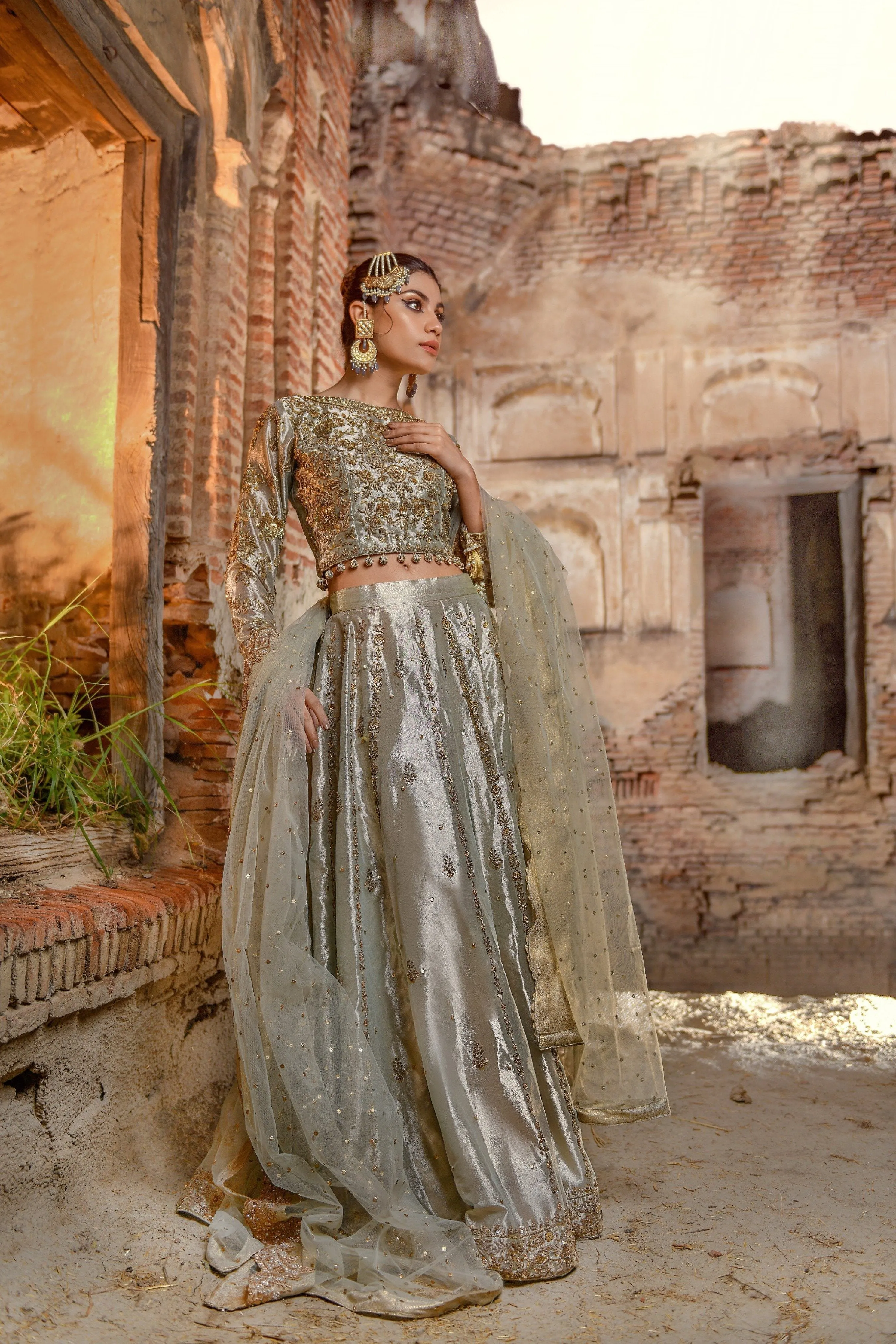 Tissue Lehenga Choli Pakistani Bridal Dress #BS722