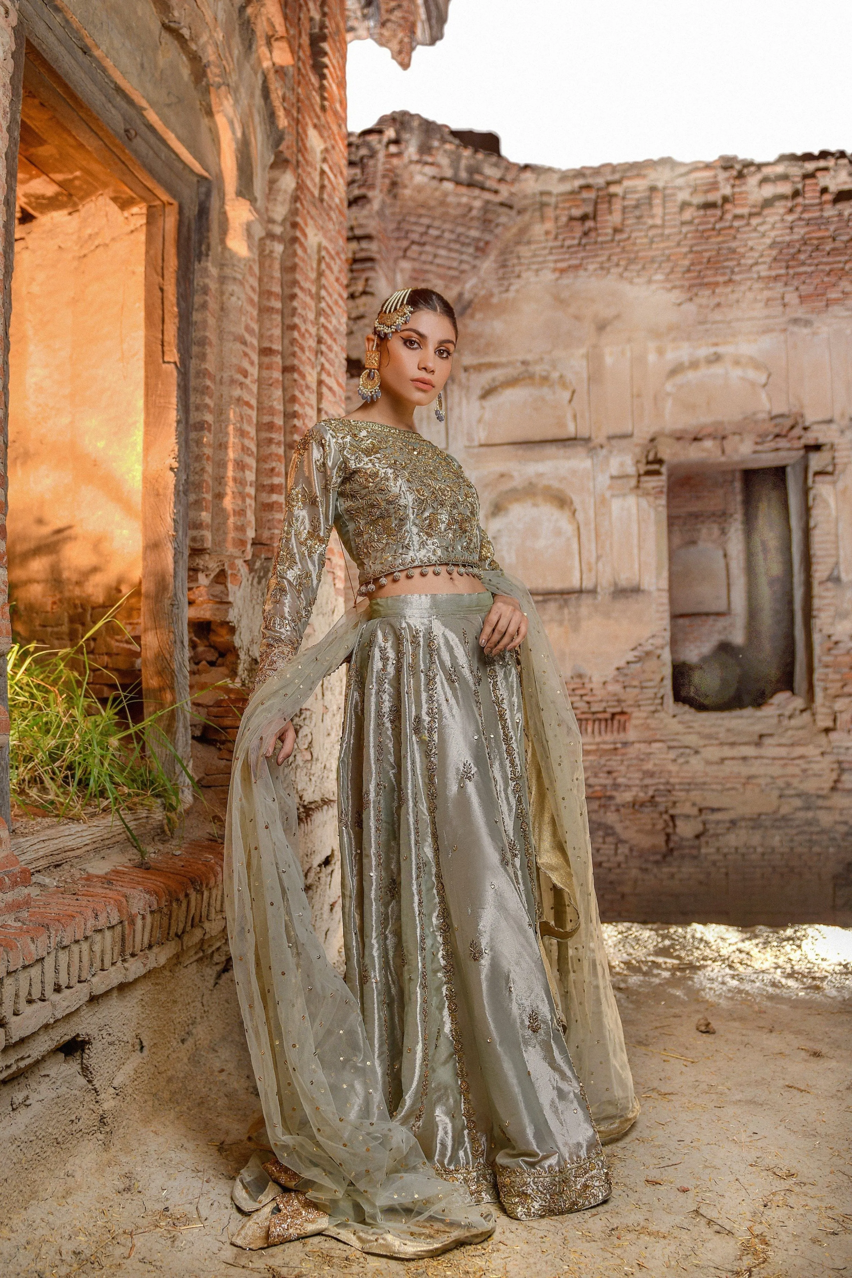 Tissue Lehenga Choli Pakistani Bridal Dress #BS722