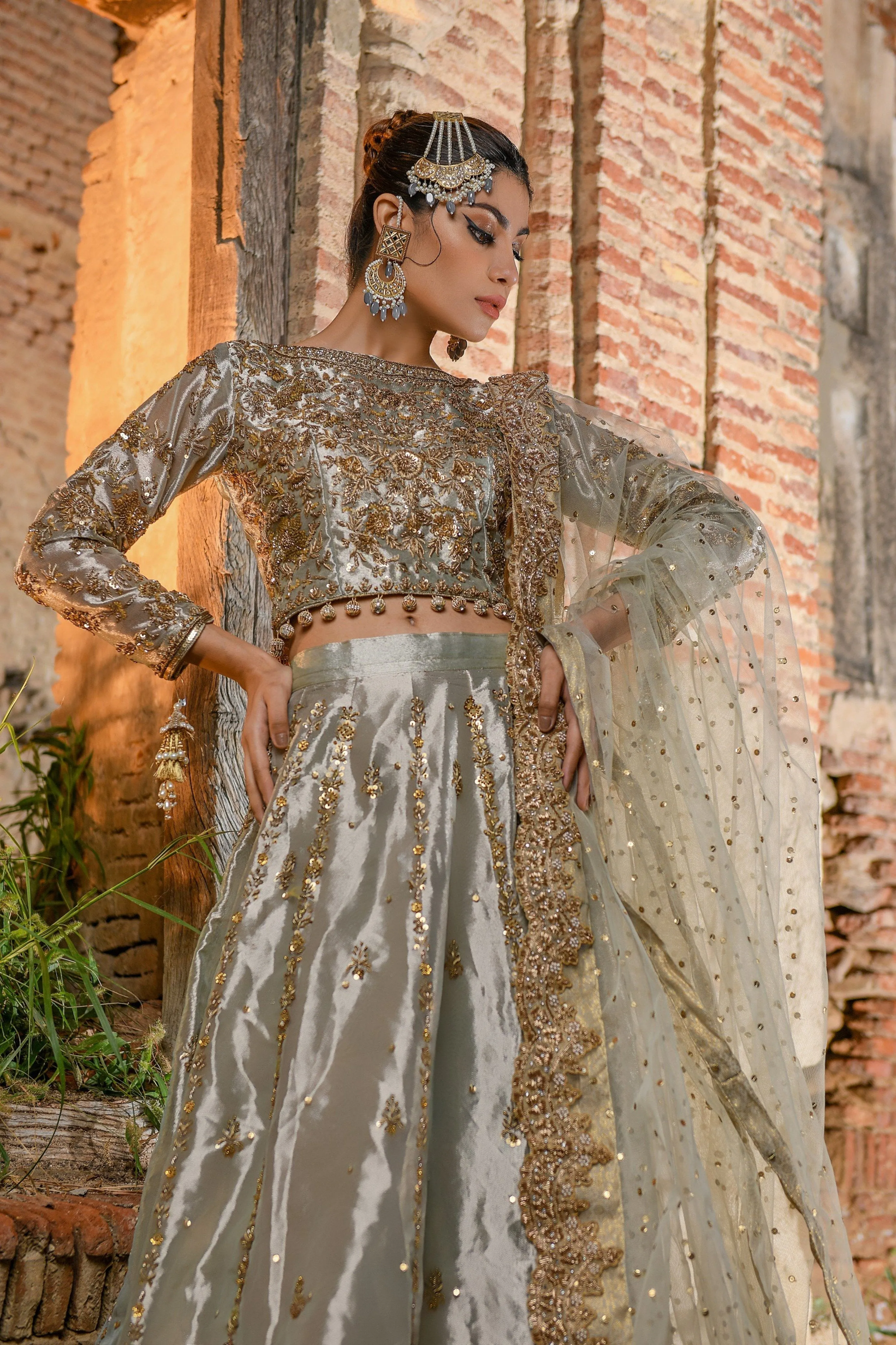Tissue Lehenga Choli Pakistani Bridal Dress #BS722