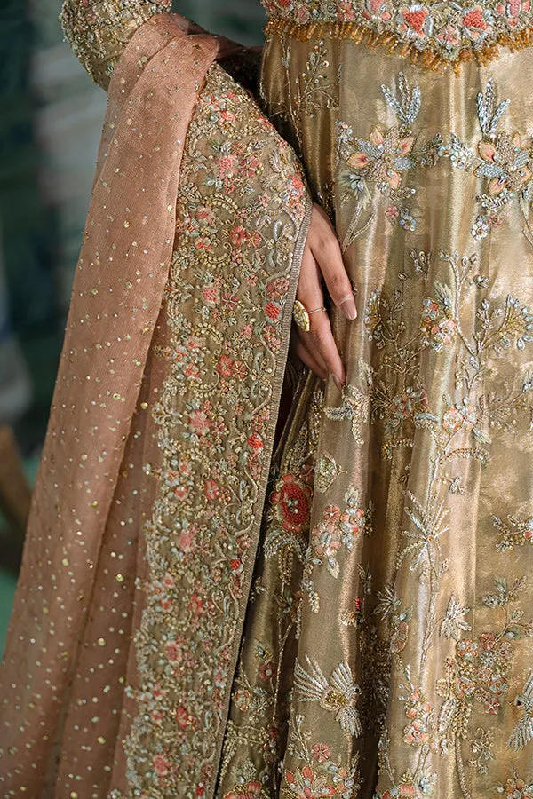 Traditional Pishwas and Lehenga Bridal Wedding Dress