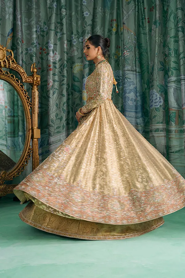 Traditional Pishwas and Lehenga Bridal Wedding Dress