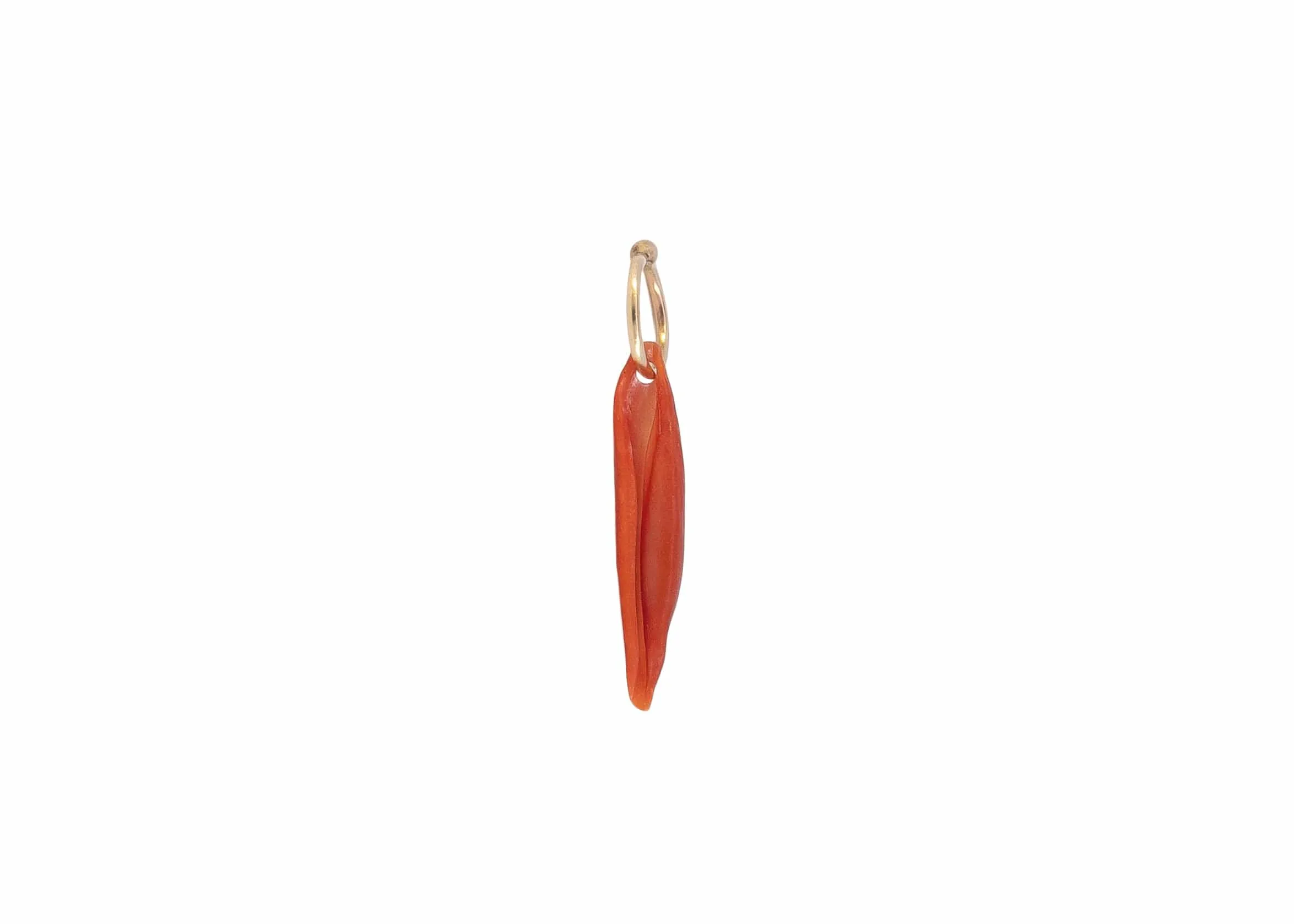 Vintage Ovulid Shell Sea Charm
