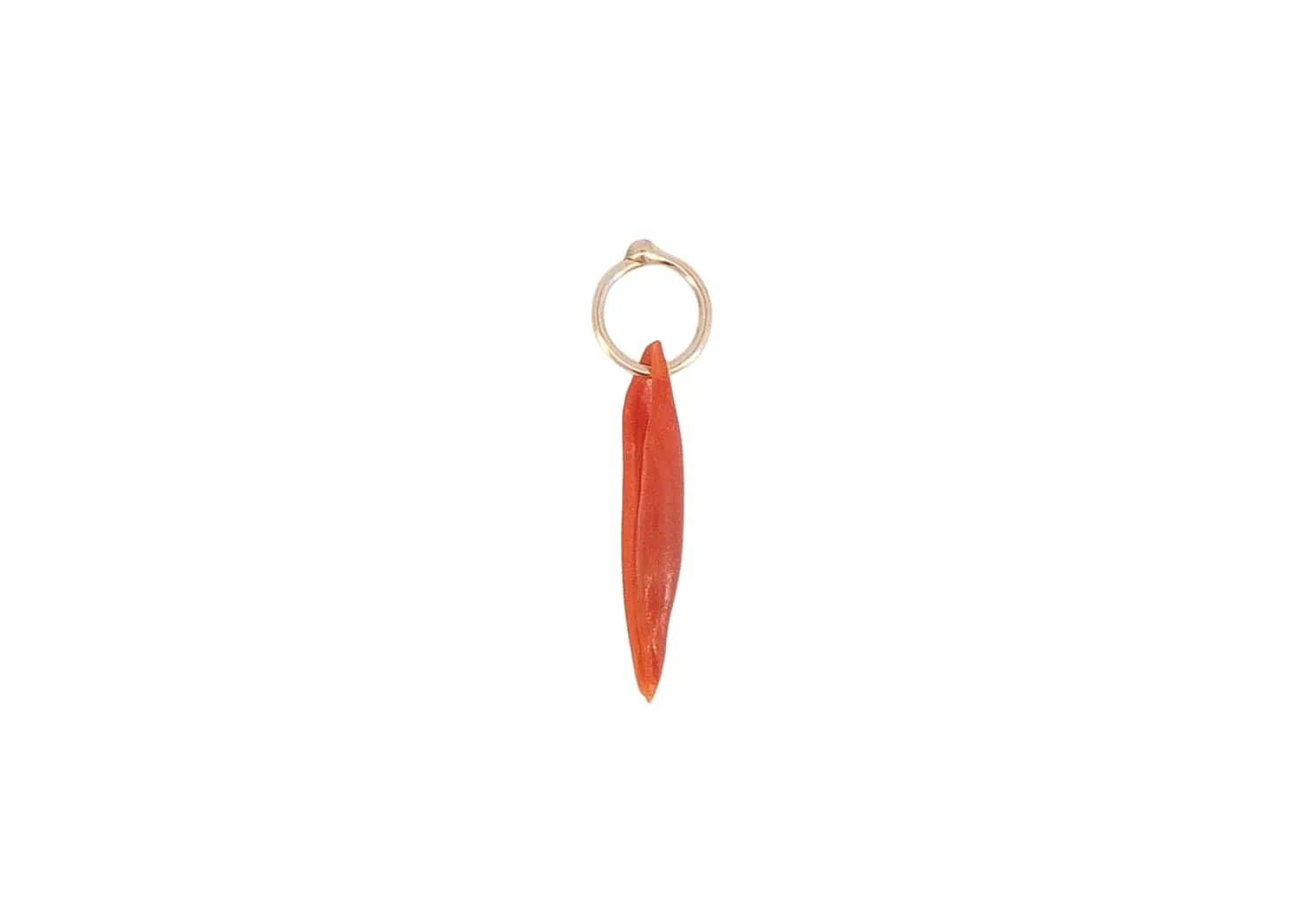 Vintage Ovulid Shell Sea Charm
