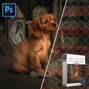 Watermark Grid and Overlays for image protection