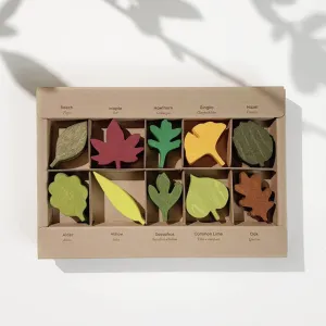 Woodland Leaves