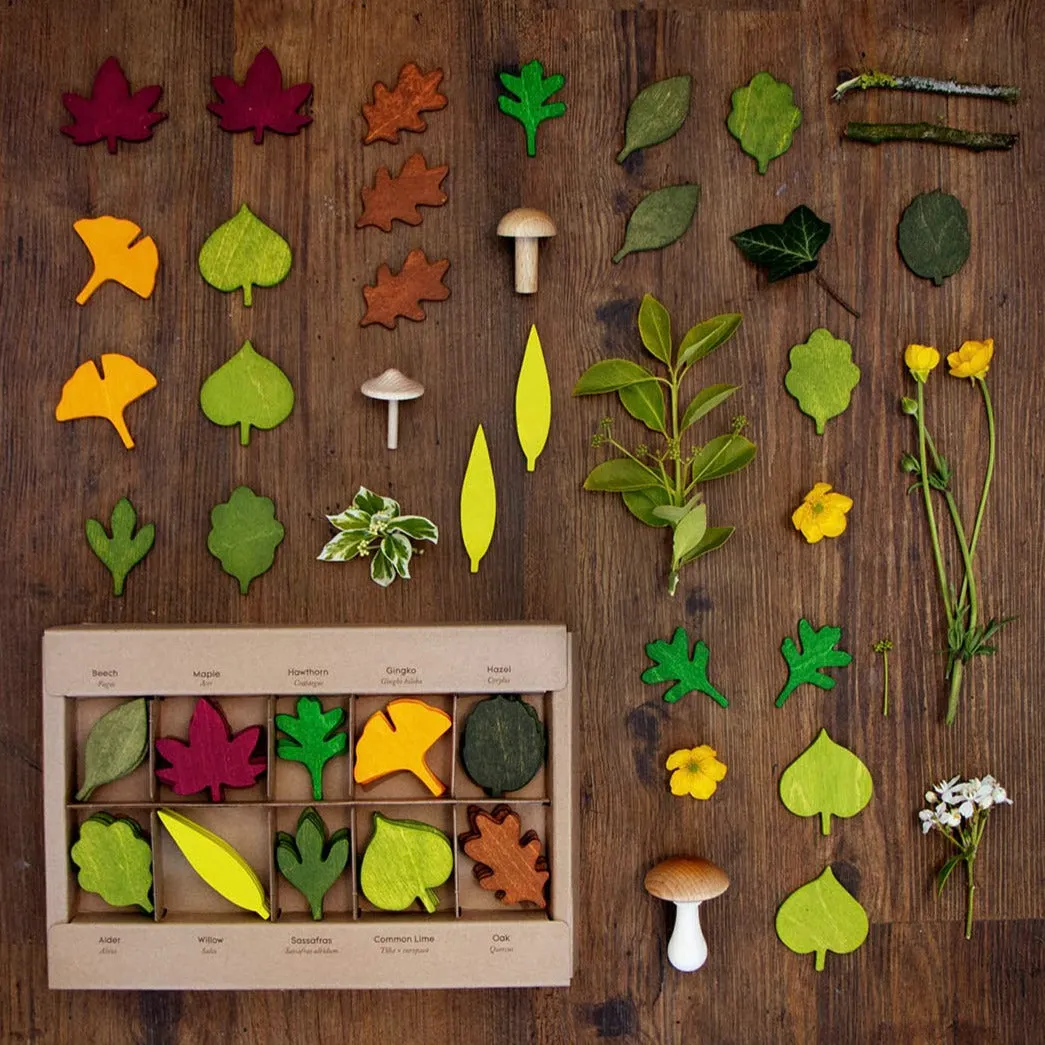 Woodland Leaves